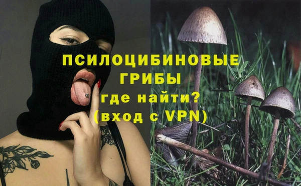 a pvp Абинск
